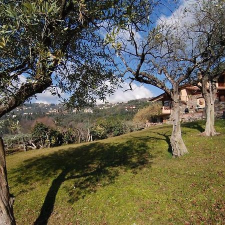 Conca Di Sopra Home Corsanico-Bargecchia エクステリア 写真