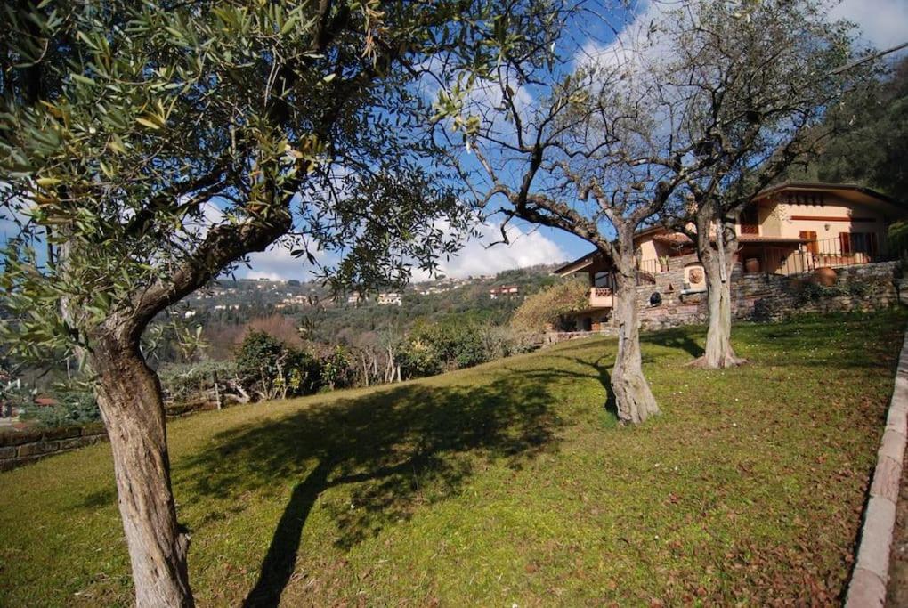 Conca Di Sopra Home Corsanico-Bargecchia エクステリア 写真