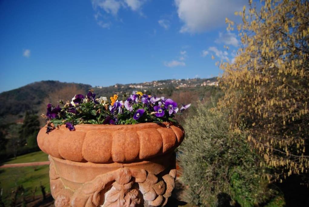 Conca Di Sopra Home Corsanico-Bargecchia エクステリア 写真