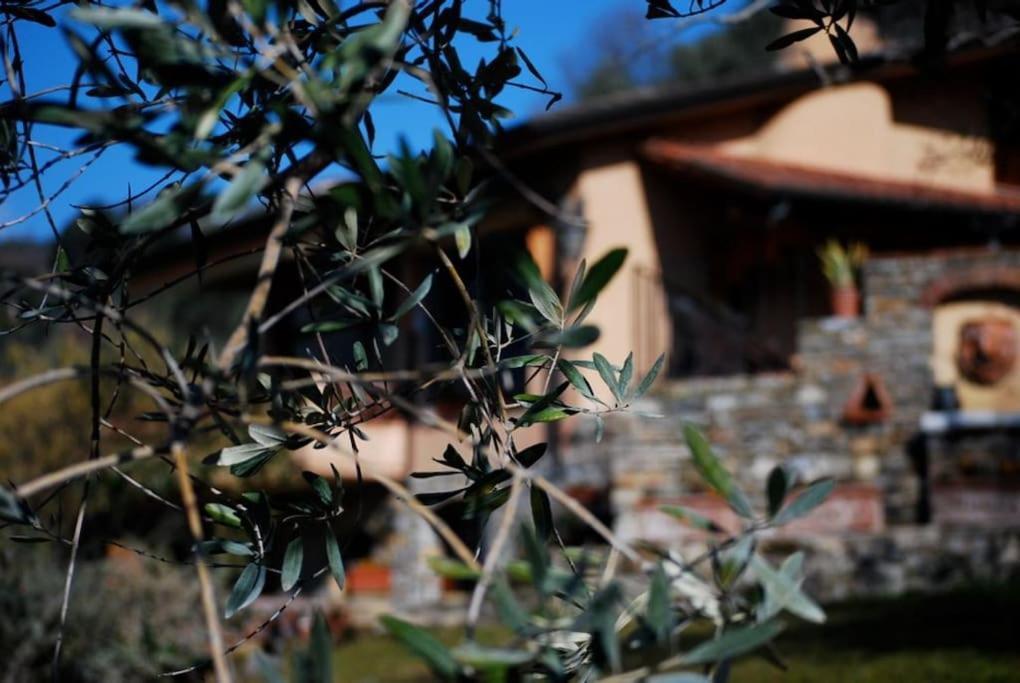 Conca Di Sopra Home Corsanico-Bargecchia エクステリア 写真